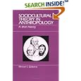 Sociocultural Theory in Anthropology: A Short History by  Merwyn S. Garbarino