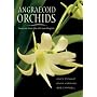 Angraecoid Orchids: Species from the African Region