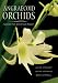 Angraecoid Orchids: Species from the African Region