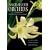 Angraecoid Orchids: Species from the African Region