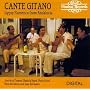 Gypsy Flamenco from Andalucia
