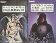 Engel der Nacht. Fantasy- Roman.