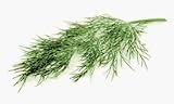 One pound Whole Dill weed