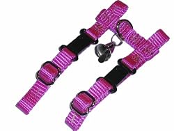 Sandia Pet Products Fuchsia Ferret Harness with Bell