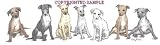 Italian Greyhound - Puppies in a Row by Cindy Farmer