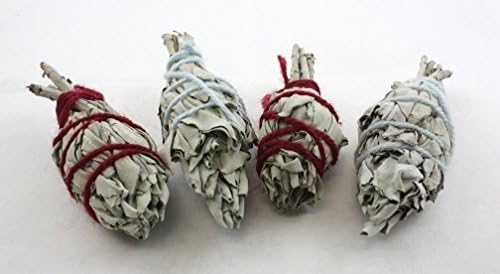 Crystal Allies Specimens: Abalone Shell Smudging Kit with Wooden Tripod, Sage Stick & Tumbled Stone - Choose Your Own Healing Set