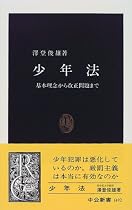 少年法―基本理念から改正問題まで (中公新書)