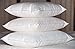 Multiple Sizes- 95% Feather 5% Down Pillow Inserts - Premium Quality-18x18