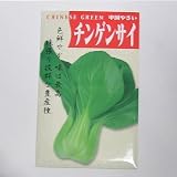 在来固定種野菜の種「チンゲンサイ（青梗菜）」5ml約1250粒　畑懐〔はふう〕