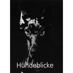 Hundeblicke