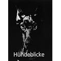 Hundeblicke