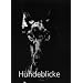Hundeblicke