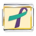 Purple And Teal Ribbon Awareness Italian Charms Bracelet Link