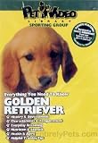 Golden Retriever DVD