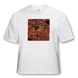 Krista Funk Creations Red Rock Canyon Up Close and Personal - Lichen Grows on a Rock in Red Rock Canyon in Nevada, USA - T-Shirts