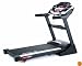 Sole F80 Treadmill (2009 Model)