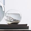 Small 4" Round EcoSphere