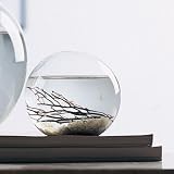 Small 4 Round EcoSphere