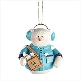 Snowberry cuties Postman - Style 38324