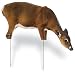 Renzo's® Whitetail Doe Decoy