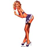 Rob Fine - Pin Up Cutie - Sticker / Decal