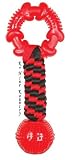Tugger Ball Rubber Toy