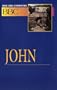 Basic Bible Commentary John Volume 20 (Abingdon Basic Bible Commentary)