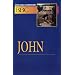 Basic Bible Commentary John Volume 20 (Abingdon Basic Bible Commentary)