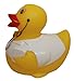 Rubber Ducks Family Dr. Rubber Duck, Waddlers Brand Toy Bathtub Rubber Ducks That Squeak, Health & Personal Care Rubber Ducky Gift Birthday Med School Medical Dr.& Dr.care