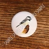 Birds Carolina Chickadee Bird Drawer Pulls Knobs