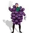 Adult's Purple Grapes Halloween Costume