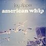 American Whip