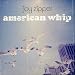 American Whip