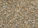 Yemen Mocha Green Coffee Beans - 5lbs