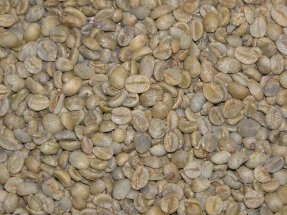 Yemen Mocha Green Coffee Beans - 5lbsB000F62TO4