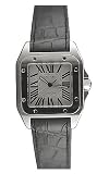Cartier Santos 100 Steel Automatic Mens Watch W20076X8