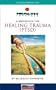 Healing Trauma : Guided Imagery for Post Traumatic Stress (PTSD)  - Cassette Format
