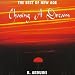 R. Arduini-Shades of Amber