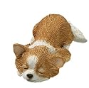 Chihuahua - Snoozer&nbsp;Sandicast Figurine (Fawn)
