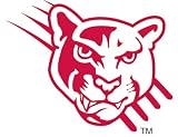 Cougar Temporary Tattoos Red