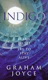 Indigo: Learn to See - Try to Stay Alive