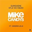 Sunshine (Fly So High) [2012 Original Mix]