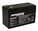 WKA12-8F2 SLA Battery - 12 volt 8ah (amp hour) Genuine Werker Brand