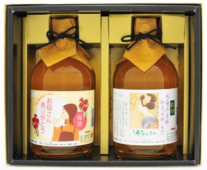 母の日ギフトラベル 梅酒早春二本セット