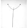Elemental Landscapes: Photographs By Harry Callahan by Katherine Ware, Anne d'Harnoncourt, and Harry Callahan