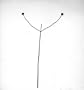 Elemental Landscapes: Photographs By Harry Callahan