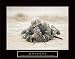 MILITARY GEAR MARINE SNIPER MOTIVATIONAL PRINT POSTER