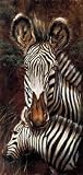 Kunstdruck 33x70 cm ZEBRAS - Afrika Zebra Top Deko Neu