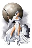 Star Wars Art Limited Edition Print Large Canvas LEIA by Mike Kungl