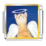 Angel Cat Animal Photo Religious Italian Charms Bracelet Link